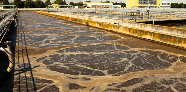 Sewage Treatment